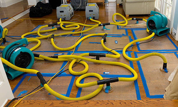 Professional Water Extraction technician working in South Plainfield, NJ